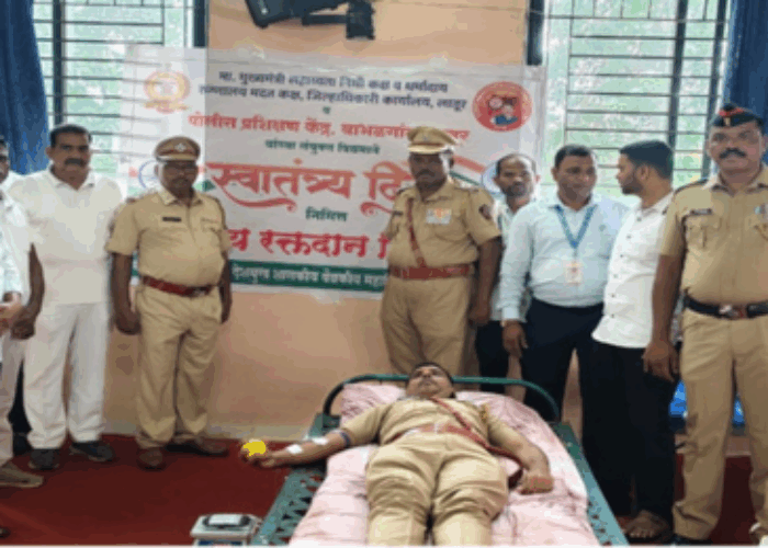 Untitled design (28)