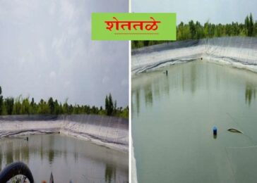 WhatsApp Image 2025-08-29 at 14.33.50