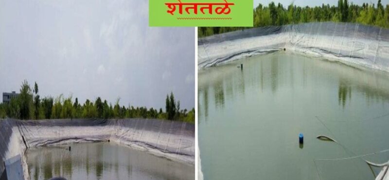 WhatsApp Image 2025-08-29 at 14.33.50